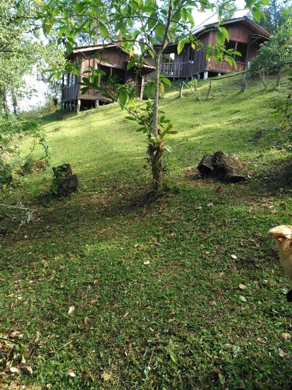 Cabanas Don Camilo Albergue De Montana Cabecera de Canas Екстериор снимка