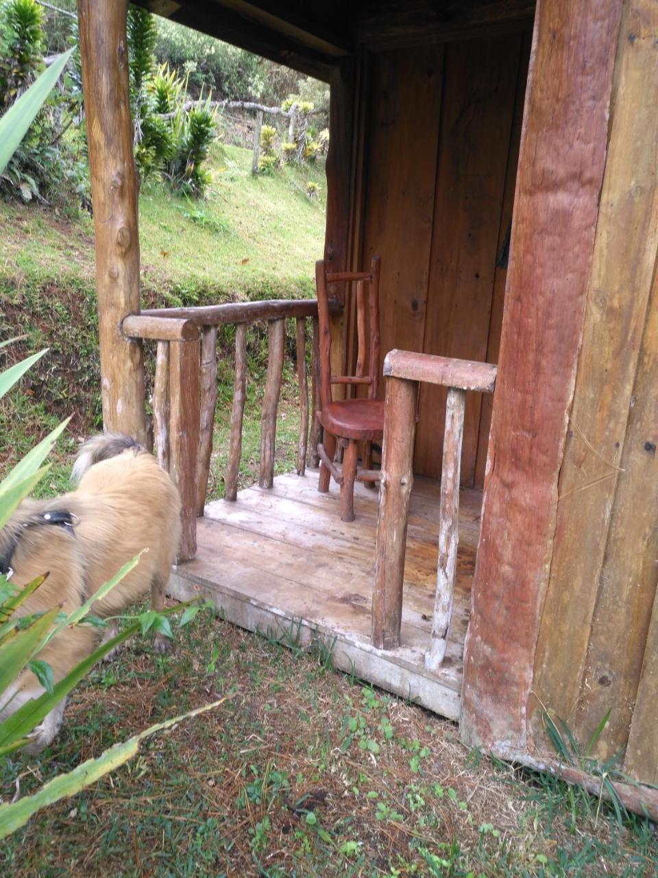Cabanas Don Camilo Albergue De Montana Cabecera de Canas Екстериор снимка